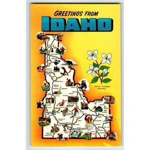 Postcard Greetings From Idaho Map Chrome Syringa State Flower Unused Vintage